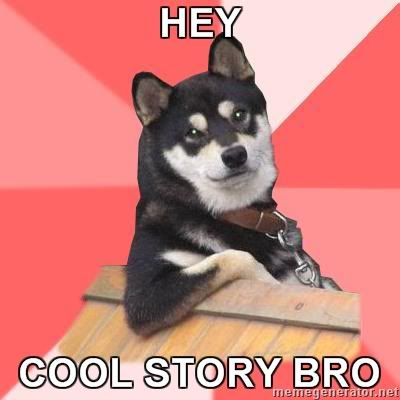 cool story bro. Cool-Dog-Hey-Cool-story-bro41.