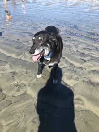  photo beach1_zpstpa8hlkf.jpg