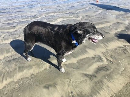  photo beach3_zpsi0vfgd6q.jpg