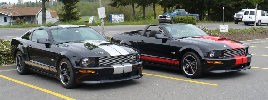 Mustangs002.jpg