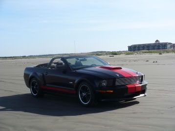 Mustangs019.jpg