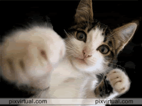 graciosas_24943.gif image jazzoe7