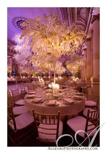 Decoraciones by David Tutera Pictures, Images and Photos