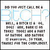 bitch.gif bitch image by _HelloKitty_Batman_