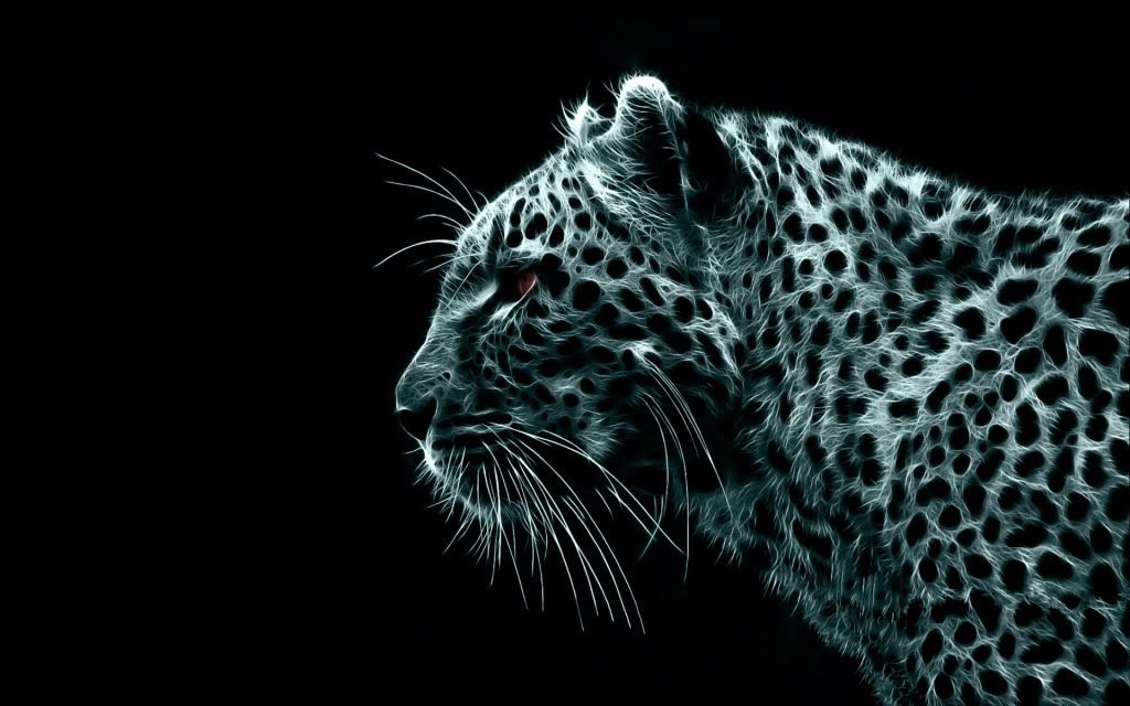 Cool Cheetah Backgrounds