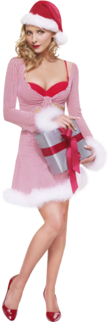  foto Misssilly-Xmaswoman2dec2007.png