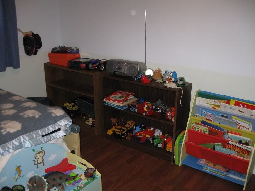 Nicky's toy shelves and book rack.