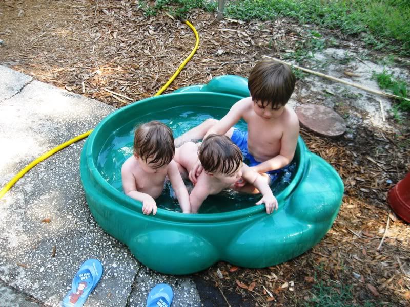 First time in the pool (Lily on the left)