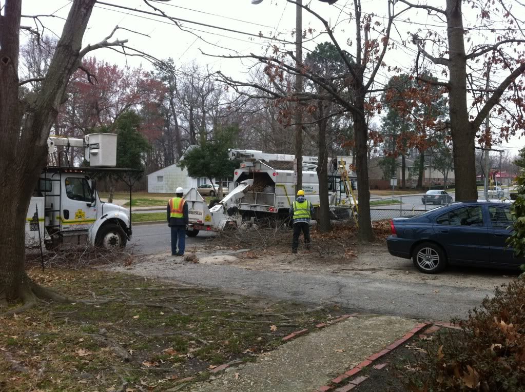 Tree Trimmers, Coming home from the eye doctor the tree trimmers were exactly in front of our house