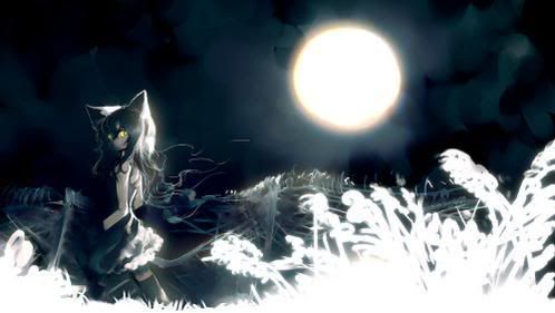 full moon neko Pictures, Images and Photos