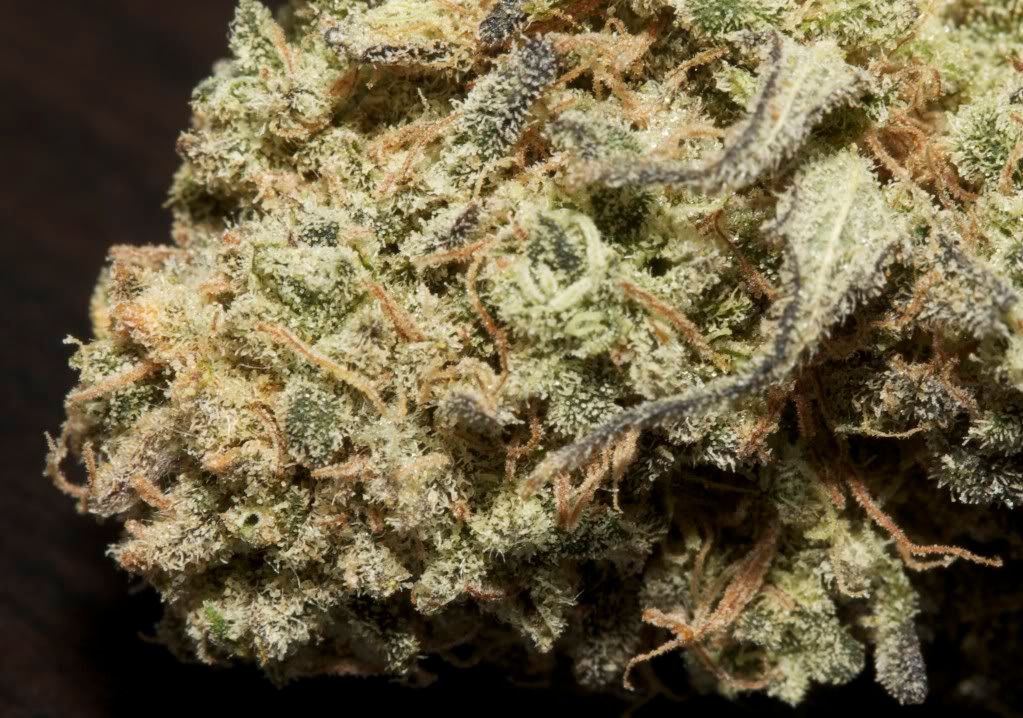 ak 47 weed. AK-47 Pictures, Images and