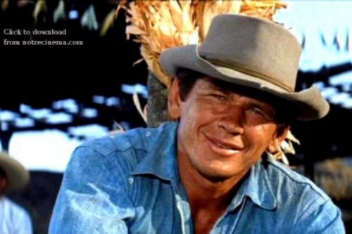 886b92fc-d396-48af-9925-f98a551c0121_zps