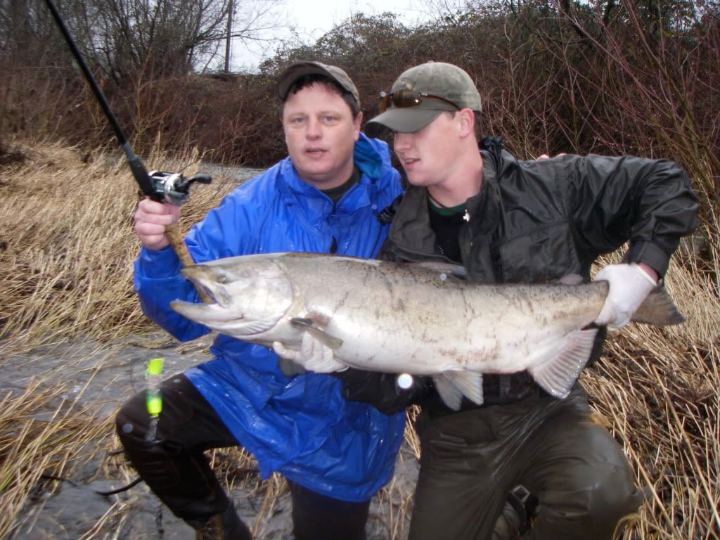 Fall Chinook most prodctive Kwikfish color Northwest Fishing Board Piscatorial Pursuits