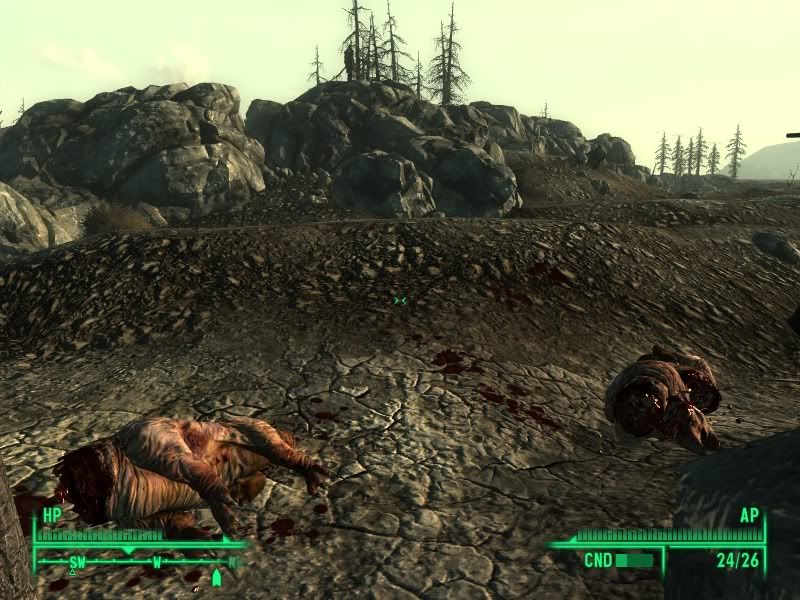 Fallout32010-06-1922-41-30-01.jpg