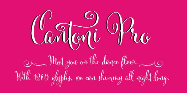  photo Font-Friday_Cantoni-Script1.jpg