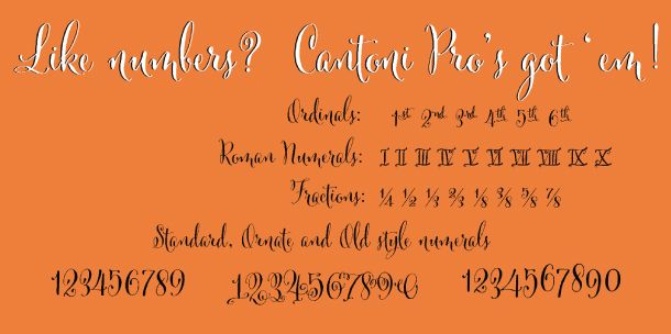  photo Font-Friday_Cantoni-Script2.jpg