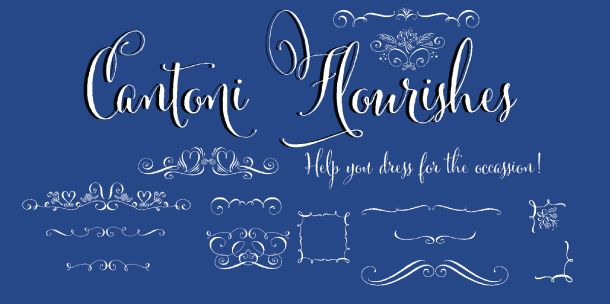  photo Font-Friday_Cantoni-Script3.jpg