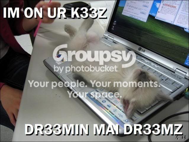 User Image